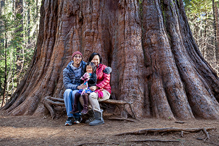 Connie Tony Seraphina in front of Big Tree
