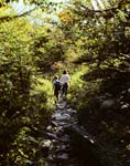 David and Mary on the trail