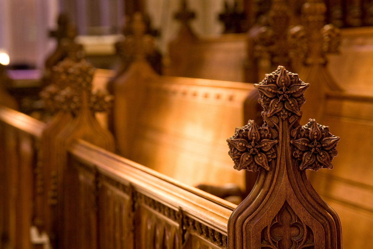 in the Choir