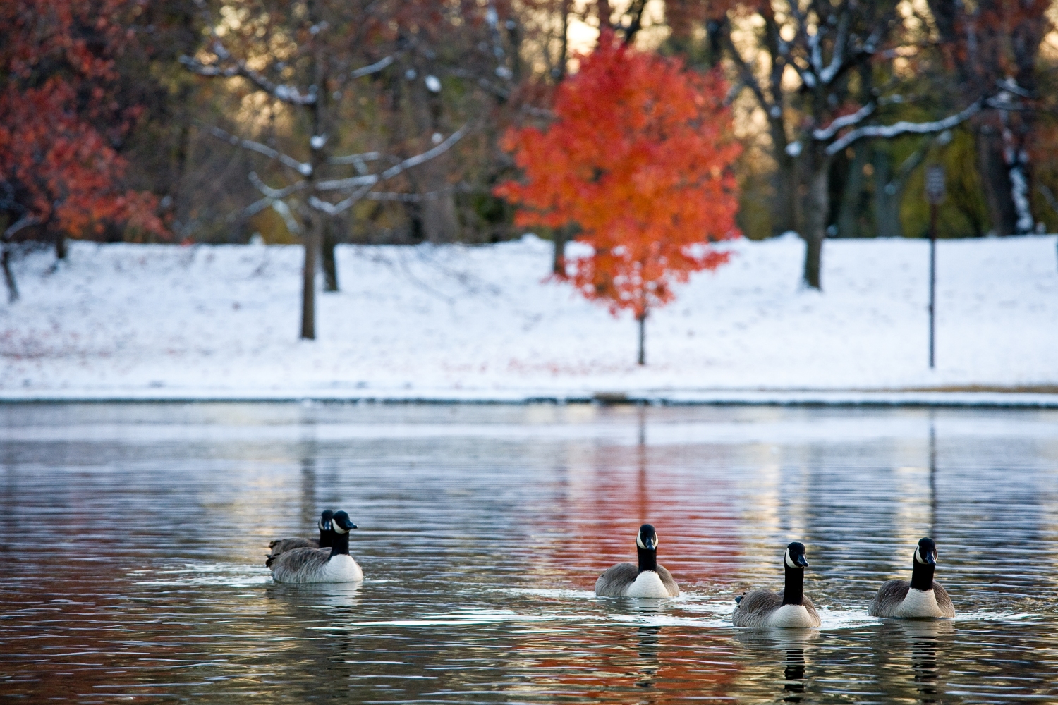 Constitution Gardens