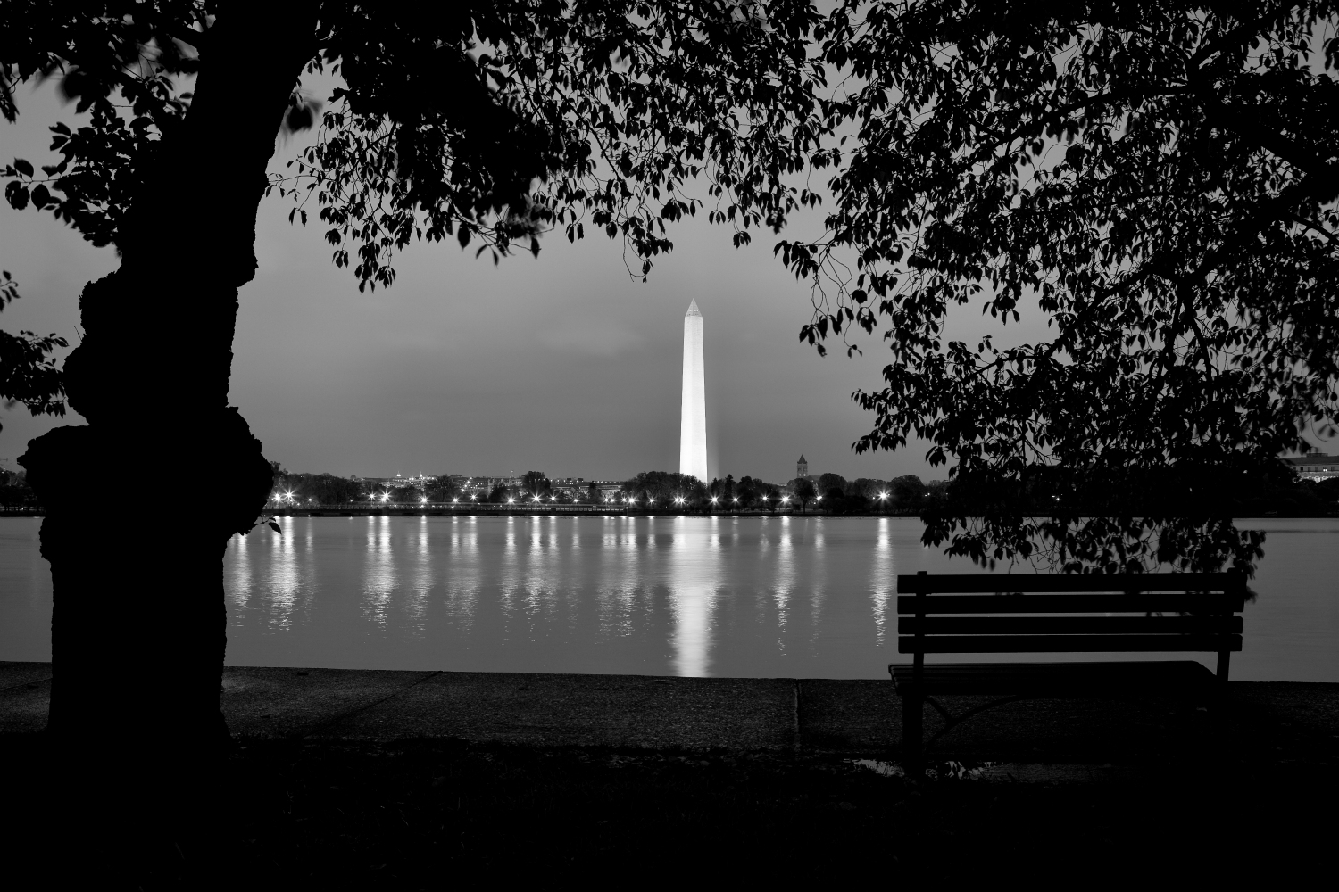 Tidal Basin, October 2009